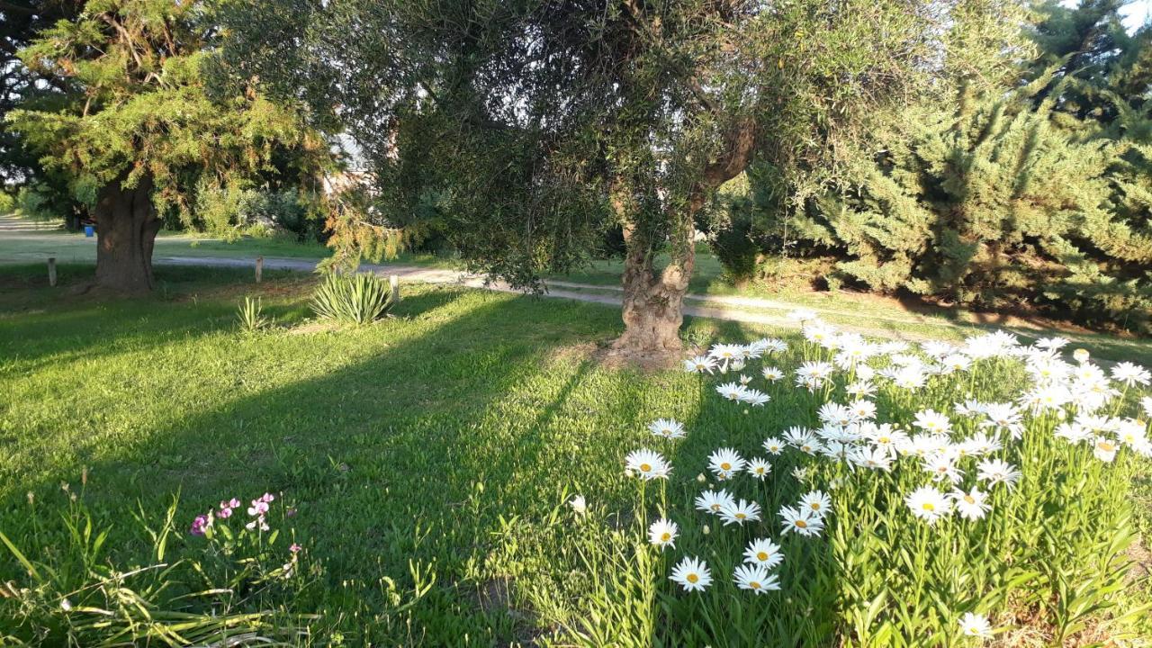 Casa De Campo Las Olivas San Rafael  Ngoại thất bức ảnh